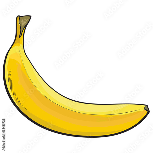 Banana Fruit Drawing High-Res Vector Graphic - Getty Images