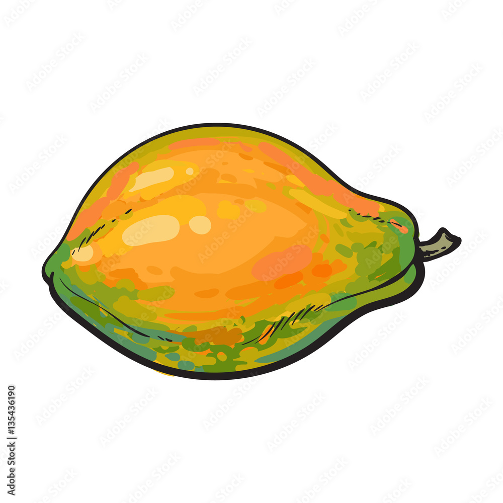 Papaya Fruit Drawing