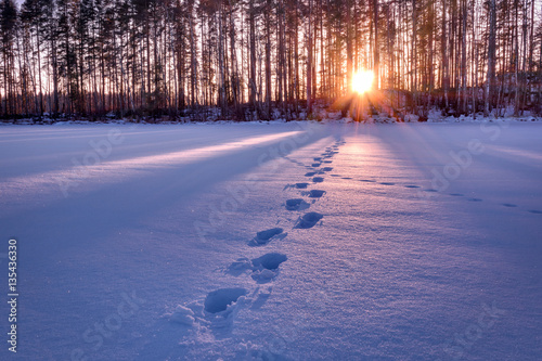 Footprints in snow leading towards sunset HDR shot