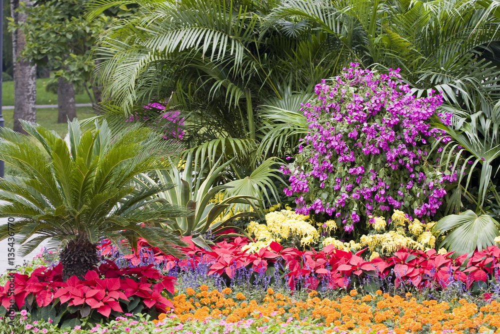 Colorful flower garden Colorful flower garden