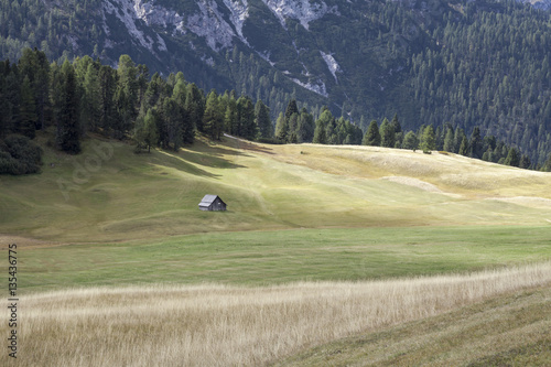 Plaetzwiese, Suedtirol photo