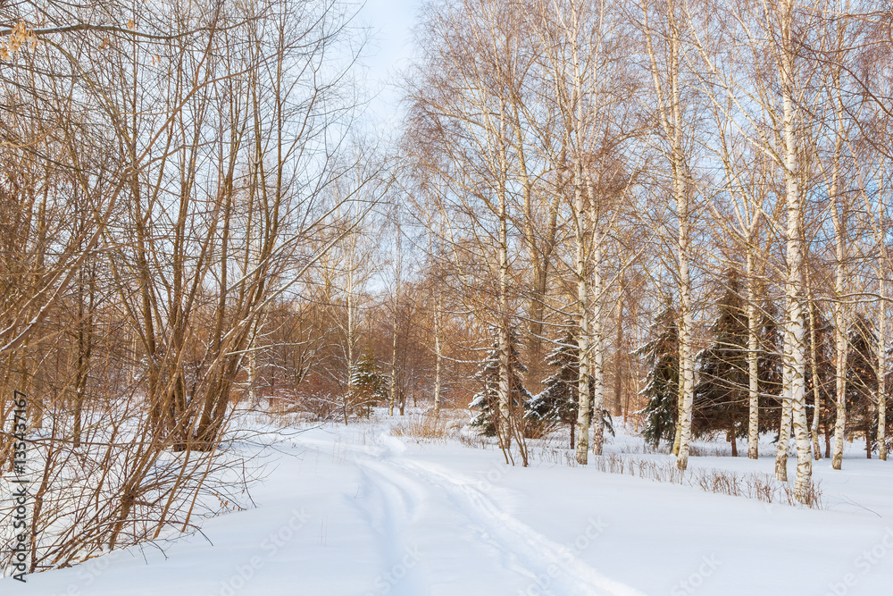 Park in Balakhna at winter Park in Balakhna at winter