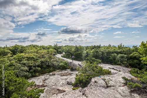 Female hiker walking down dwarf pine stone path walkway mountain hike  in Appalachian Trail
