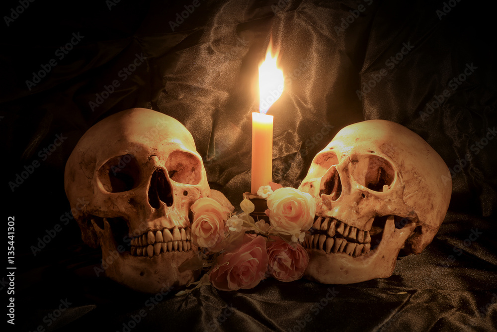 human skulls and pile of withered dry flowers and candle light on dark background in night time / Still life image and Selective focus human skulls and pile of withered dry flowers and candle light on dark background in night time / Still life image and Selective focus