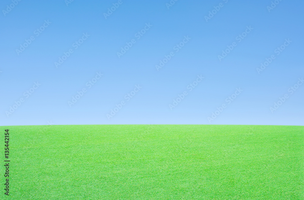 Obraz premium Green grass and sky
