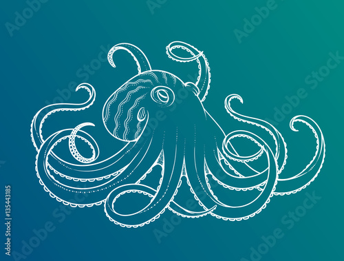 Vector illustration of octopus line art style. Design for t-shirt, posters.