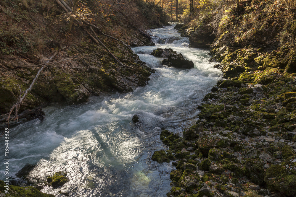Naklejka premium Vintgar - Klamm, Slowenien