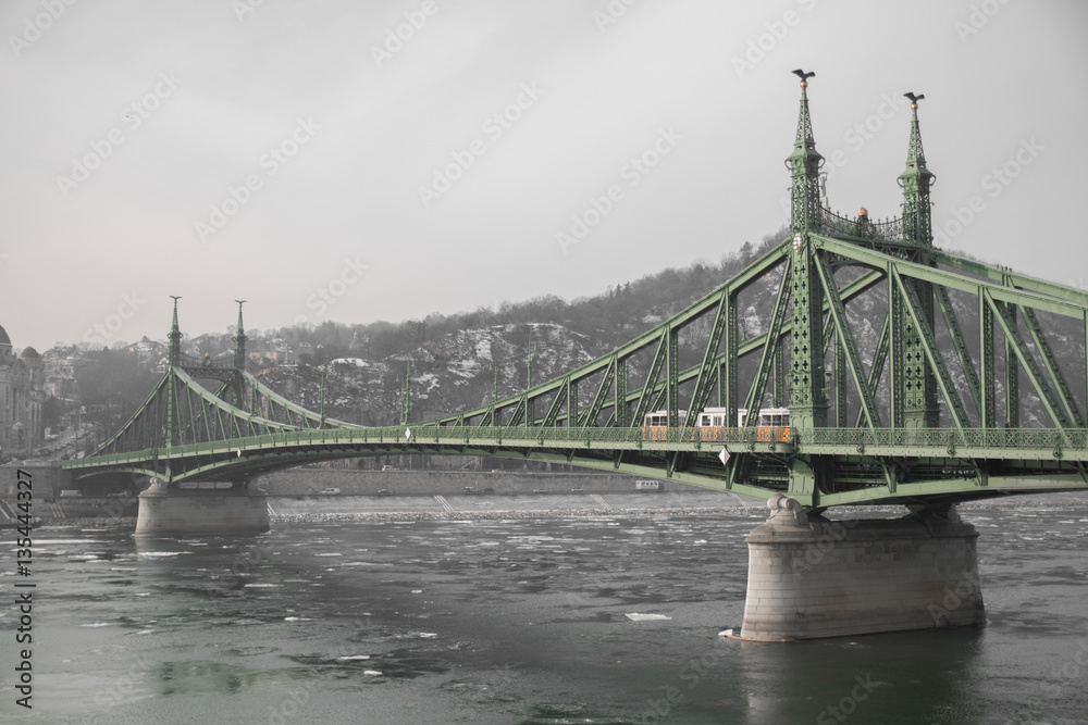 Obraz premium Liberty Bridge, Budapest, Hungary