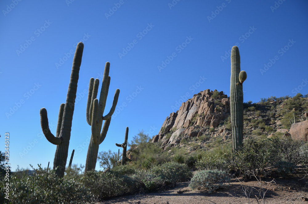 Pinnacle Peak