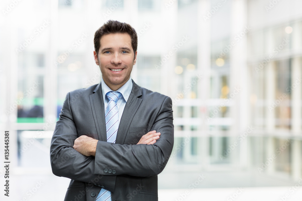 Portrait of a Handsome businessman Portrait of a Handsome businessman