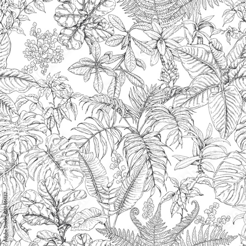 Hand Drawn Tropical Plants Pattern