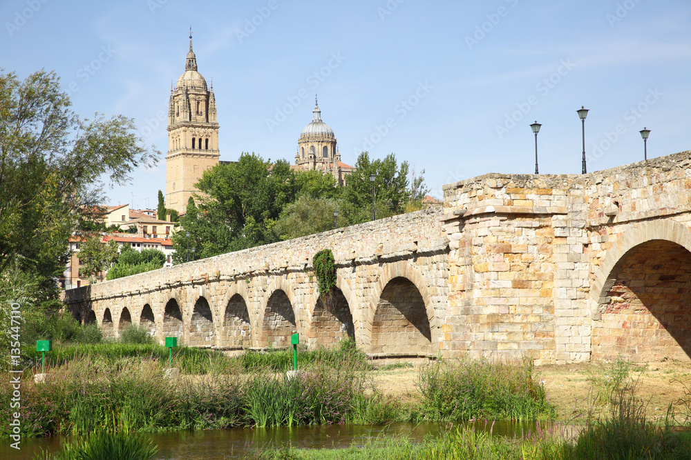 Roman bridge in Salamanca