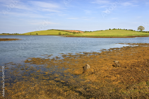 Strangford Lough, County Down, Ulster, Northern Ireland photo