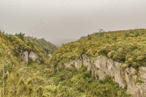 Cotopaxi National Park Landscape Scene