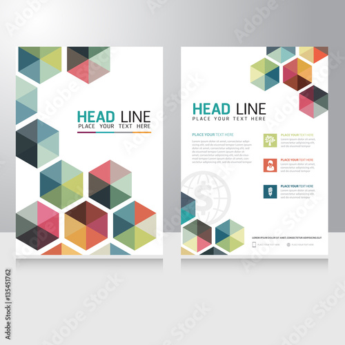 Abstract Triangle Business Brochure Flyer design vector template