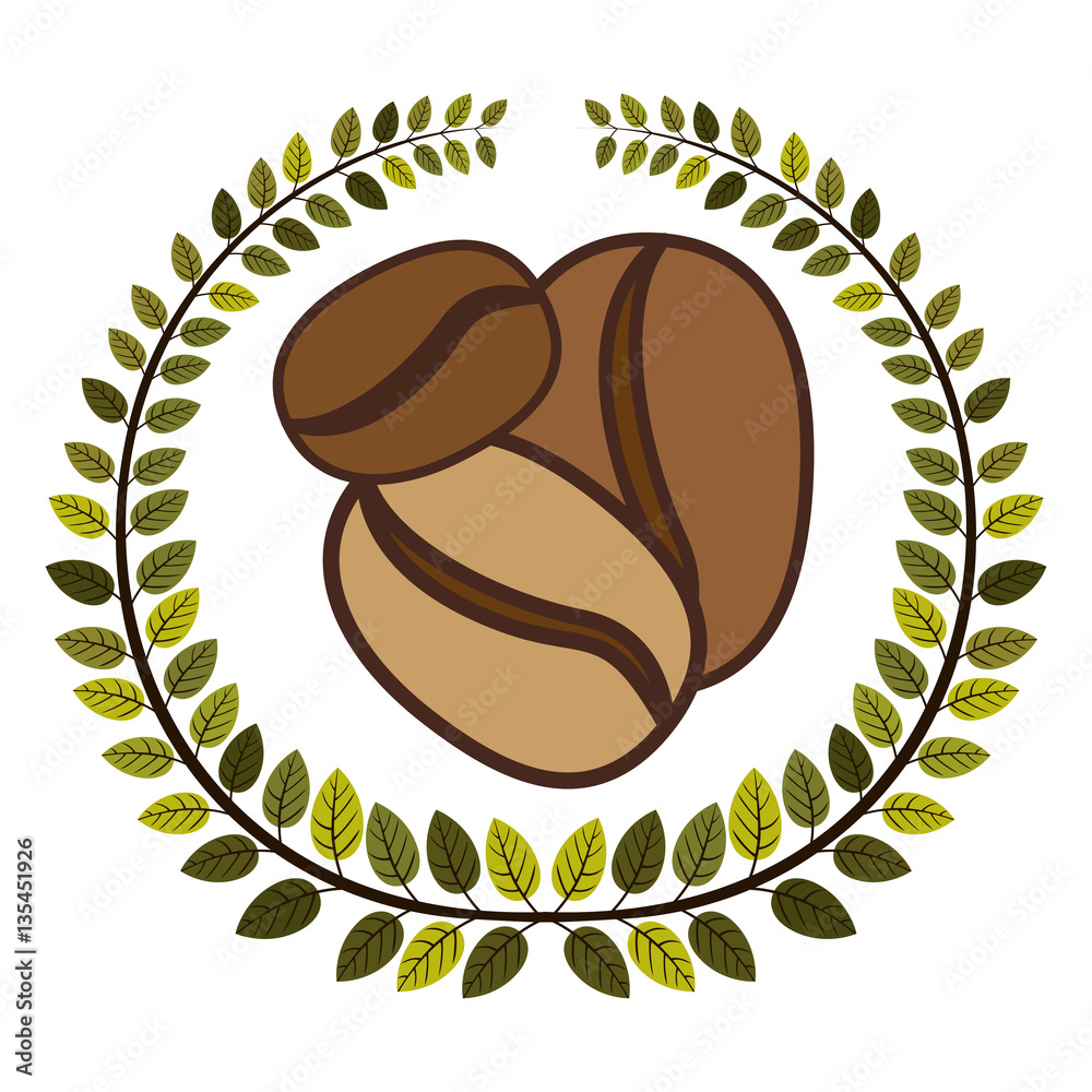 crown of leaves with coffee beans in different sizes vector illustration crown of leaves with coffee beans in different sizes vector illustration
