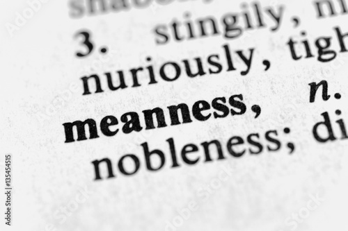 Canvastavla Meanness