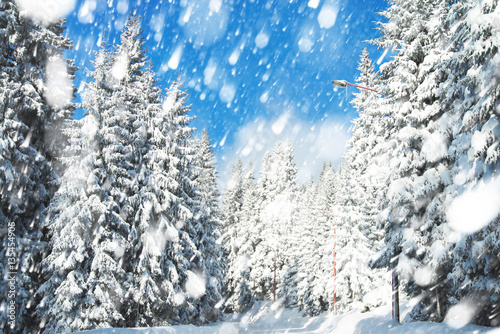 Beautiful winter landscape with snow covered trees. Bokeh light effect, soft filter. Instagram toning effect.