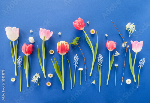 Fototapeta Naklejka Na Ścianę i Meble -  Bunte Fruehlingsblumen auf Blau