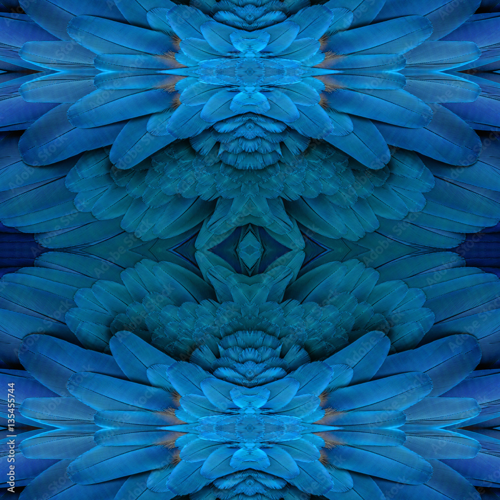 Fototapeta premium Beautiful pattern background texture made from Blue and yellow macaw feathers.