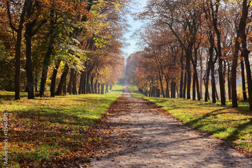 Fotografija Parc de versailles