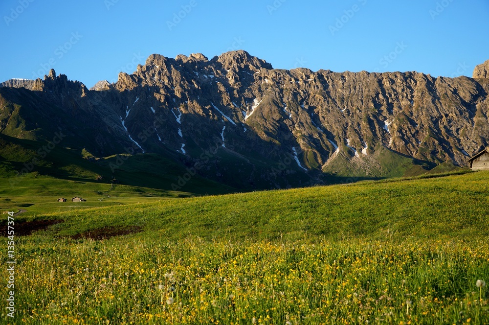 Saftige grüne Almwiese mit Bergen / Rosszähne 