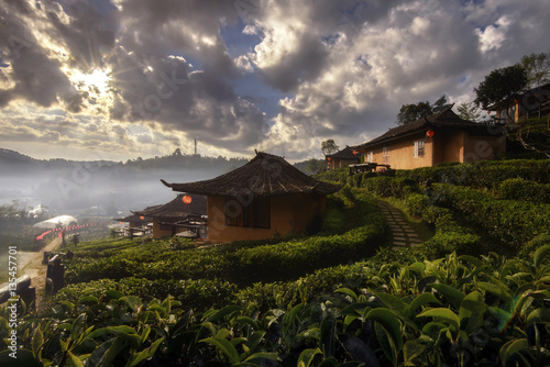 Tea plantation and village at Ban Rak Thai , a popular tourist attraction . Mae Hong Son province, North of Thailand .
