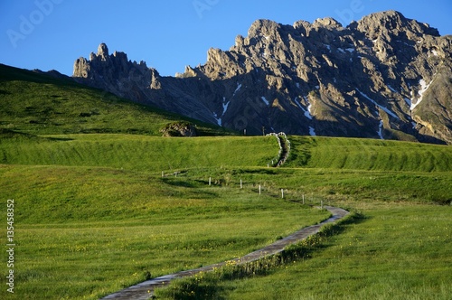 Wanderweg auf grüner Wiese und Bergen / Seiser Alm Südtirol