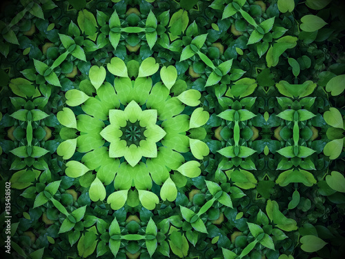 Abstract greenery background, heart shaped green leaves with kaleidoscope effect