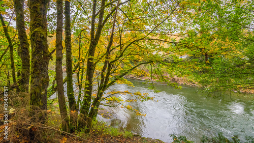 Fototapeta Naklejka Na Ścianę i Meble -  Blue river flowing among the bright yellow trees. The bright colors of autumn. Amazing fall.