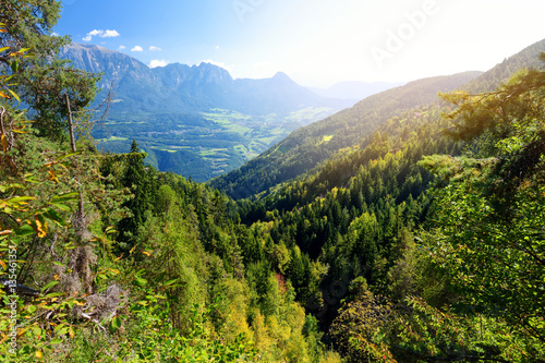 Scenic view of mixed pine and deciduous forest in South Tyrol, Renon/Ritten region, Italy