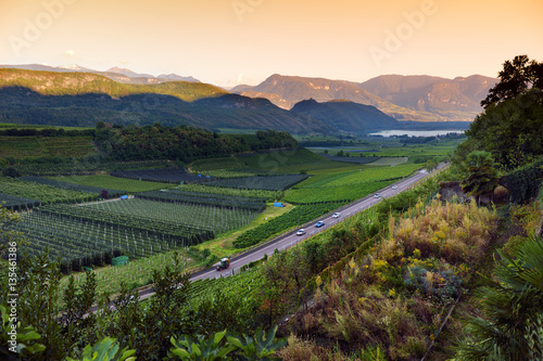 Scenic view of vineyards and apple orchards near Kaltern town at the South Tyrolean wine route