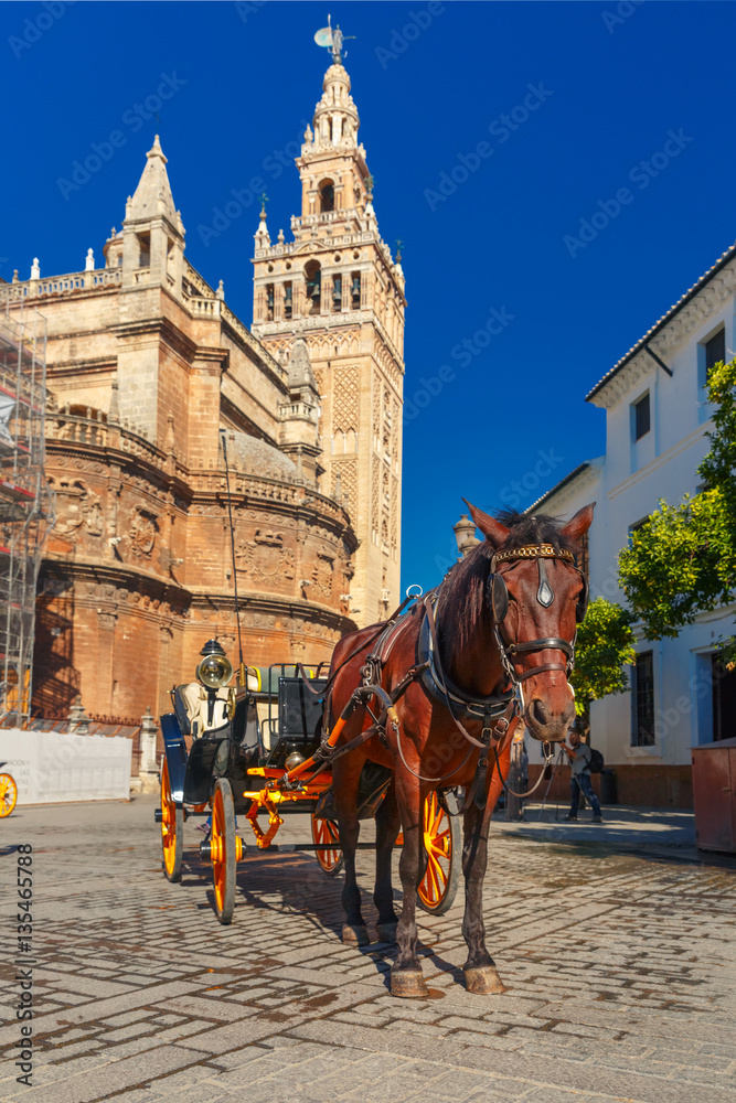 Horse carriage waiting for tourists near Giralda, bell tower of the Seville Cathedral, in the sunny summer day, Seville, Andalusia, Spain. Horse carriage waiting for tourists near Giralda, bell tower of the Seville Cathedral, in the sunny summer day, Seville, Andalusia, Spain.