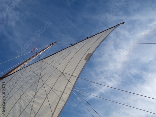 Windy Sail