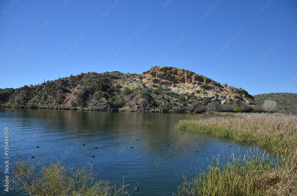 Saguaro Lake