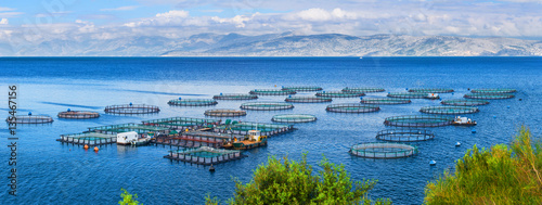 Sea fish farm. Cages for fish farming dorado and seabass. The workers feed the fish a forage. Seascape panoramic photography.