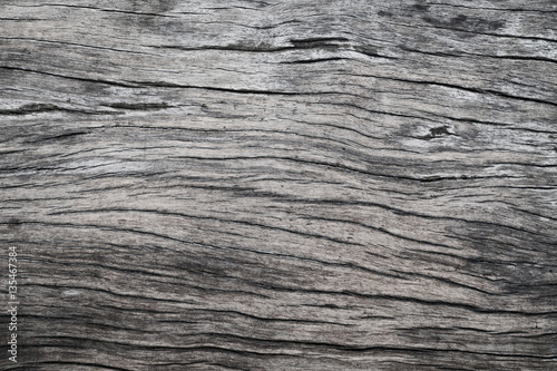 Old wood surface background texture.