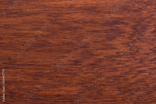 background and texture of Macro Ormosia wood