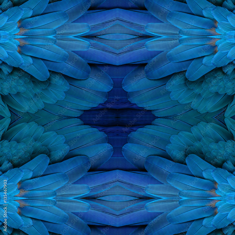 Obraz premium Beautiful pattern background texture made from Blue and yellow macaw feathers.