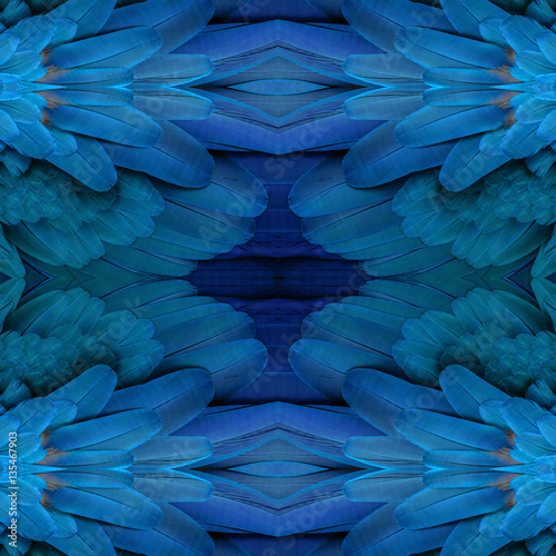Beautiful pattern background texture made from Blue and yellow macaw feathers. © Narupon