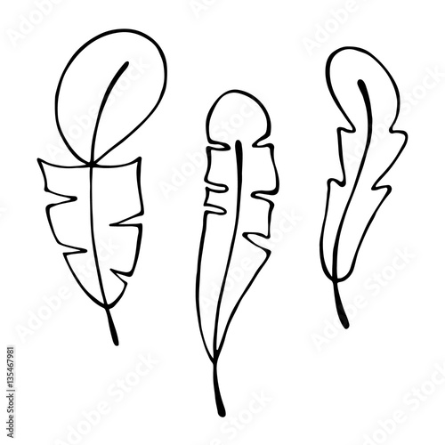 Vector hand drawn illustration, decorative ornamental stylized feather. Black and white graphic illustration isolated on the white background. Hand drawing silhouette.