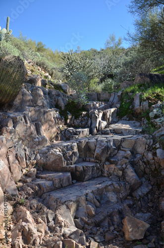 Saguaro Lake