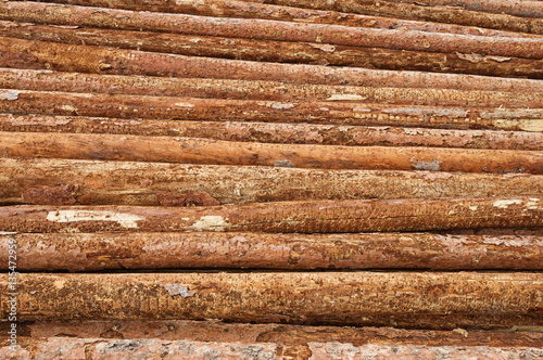 Lumber Logs In A Pile