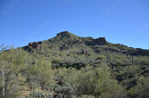 Saguaro Lake