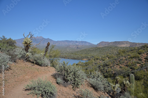 Saguaro Lake