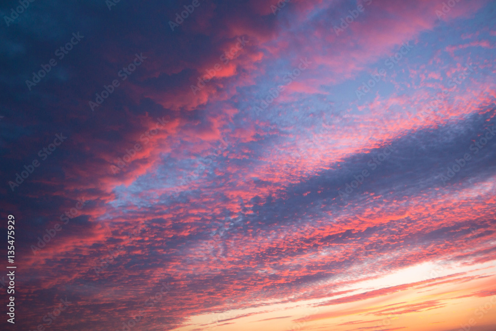 Fototapeta premium the sky in clouds