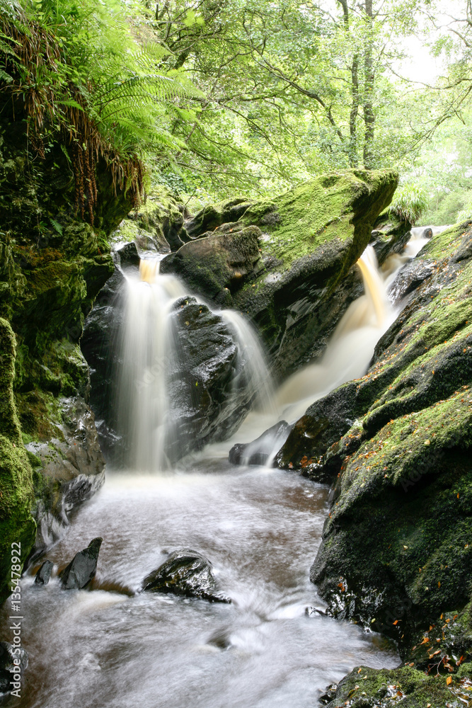 Obraz premium Waterfall Ness Woods River