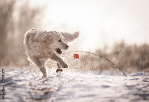 Ian and his favourite ball