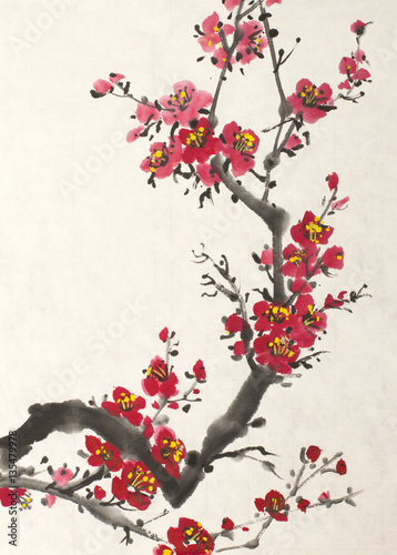 blossoming branch of plum