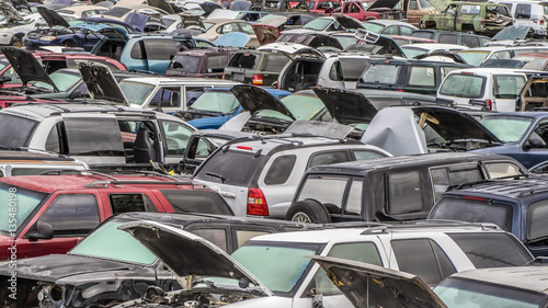 Frost covered Cars, trucks and SUV's in a junkyard or wrecking yard.